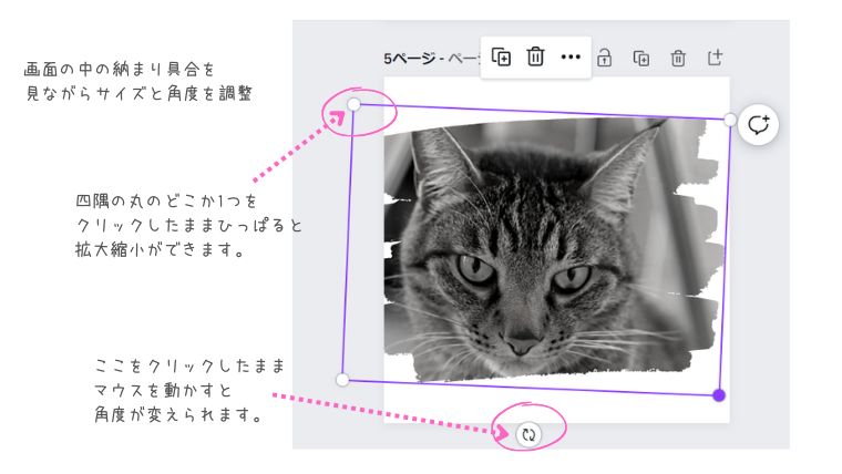 Canva編集画面　画像の調整