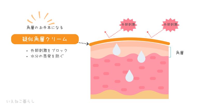 疑似角層クリームが角層のお手本になる