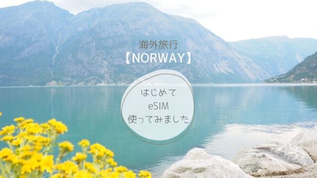 ノルウェー旅行