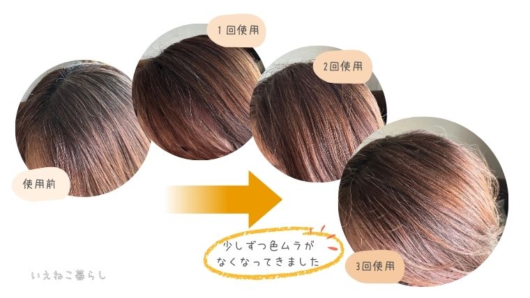 蘭夢ヘアカラークリーム　3回使用した髪の様子